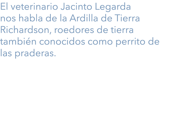 El veterinario Jacinto Legarda nos habla de la Ardilla de Tierra Richardson, roedores de tierra también conocidos com...